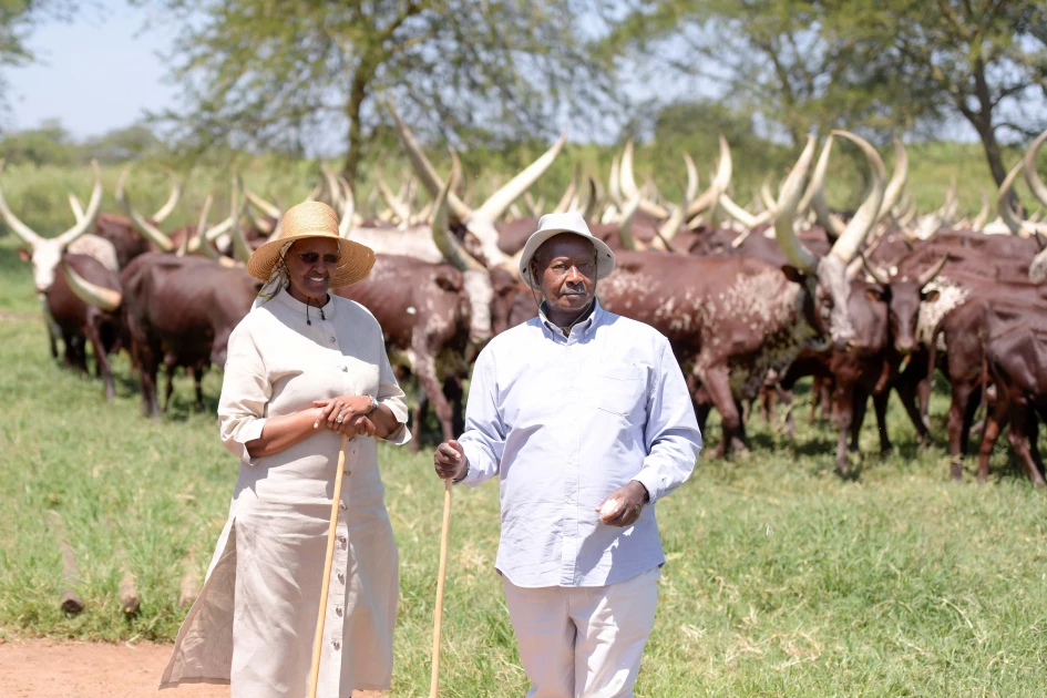 Museveni: I have my cows, I'm not getting anything from government