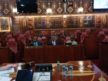 No gov’t records to show Mackenzie owns Shakahola land, PS Korir tells Senate