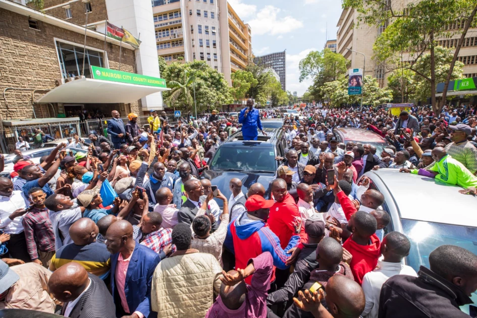 Raila says 1.2 million signatures collected so far 'to remove Ruto'