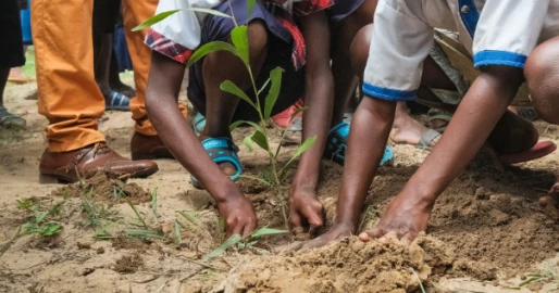 OPINION: Engaging children for a greener future