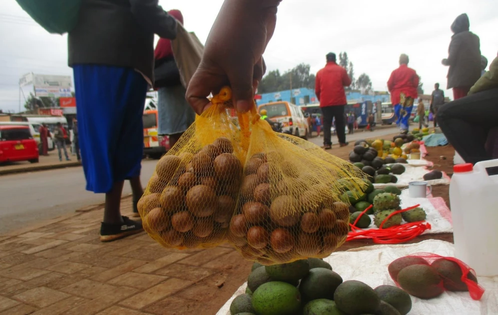 Thika: Farmers oppose lifting of ban on raw macadamia exports