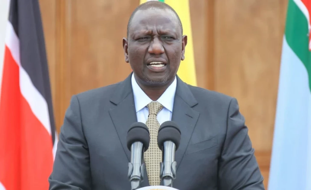 Court stops implementation of President Ruto’s lifting of logging ban