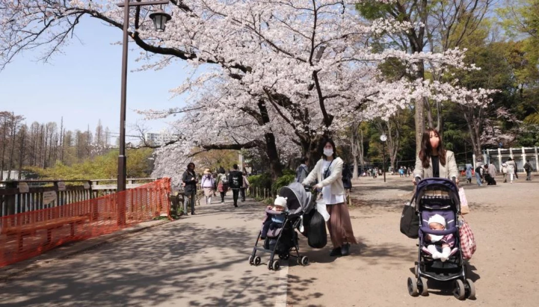 Japan’s population fell by 800,000 last year as demographic crisis accelerates