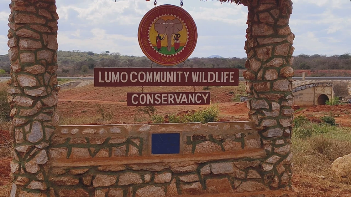 Kenyan conservancies reaping from Carbon trade amid calls for a regulatory framework 