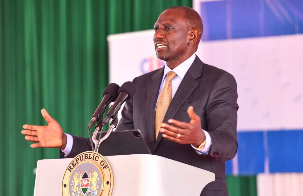 Kenya might have its best maize harvest in history this year - Ruto