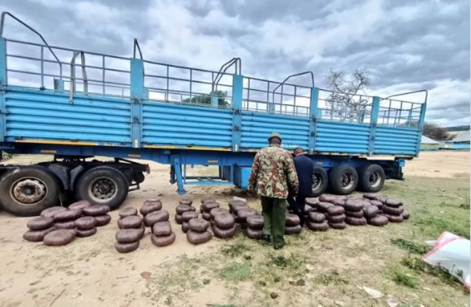 Lorry driver arrested as bhang worth Ksh.10M nabbed in Moyale