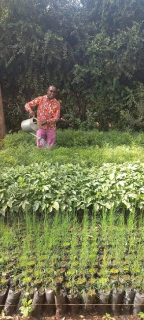 Kajiado: Group takes up tree planting, involves community in bid to counter effects of climate change