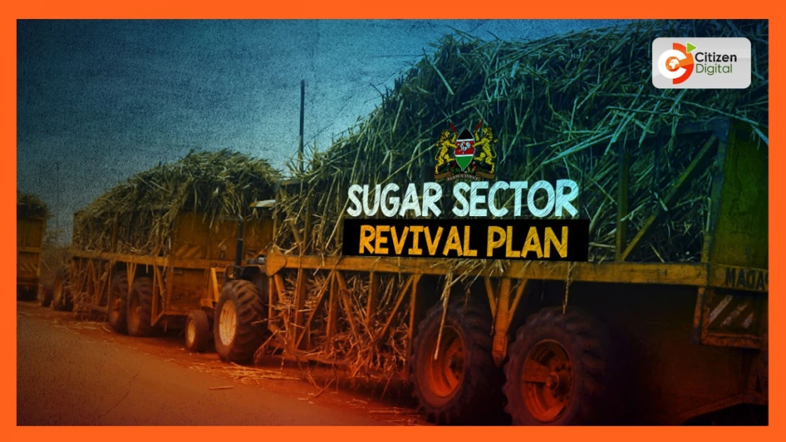 Inside the government’s new plan to revive the Sugar Sector