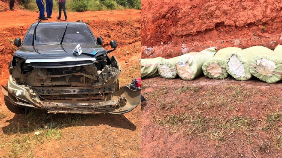 Court detains two suspects arrested with bhang worth Ksh. 9.4 million