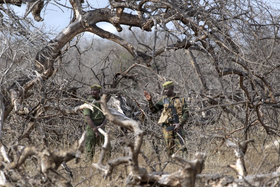 At least 187,000 children in Kenya displaced by climate-induced disasters