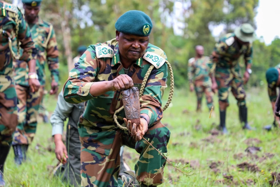 KFS hiring 4,000 nursery attendants to reach 15 billion trees target