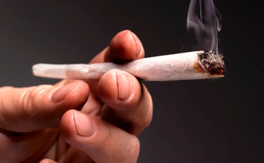 4 KCSE candidates allegedly caught smoking bhang in school, to be charged after exam completion