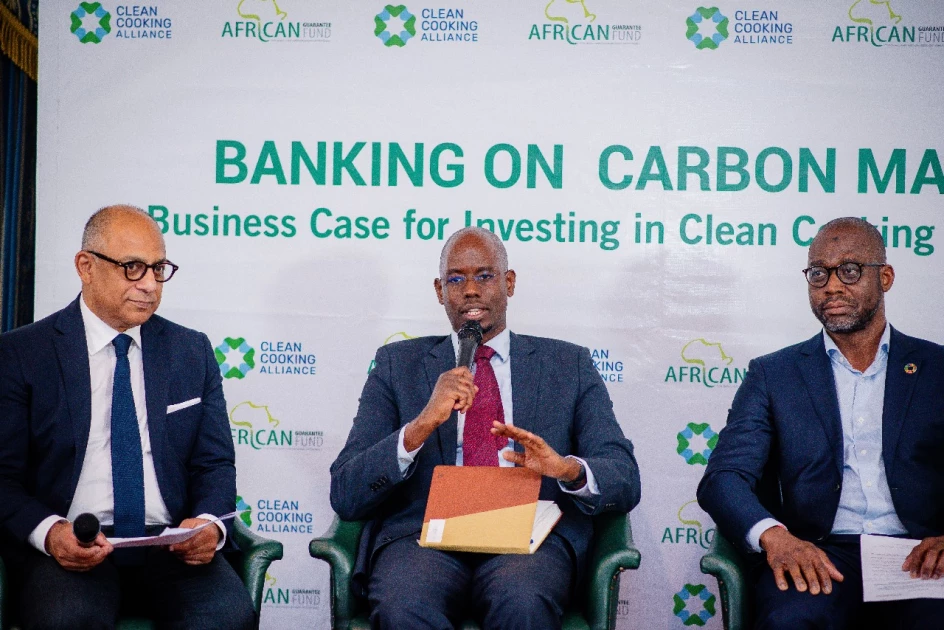 Africa's banking industry challenged to invest in Carbon Markets