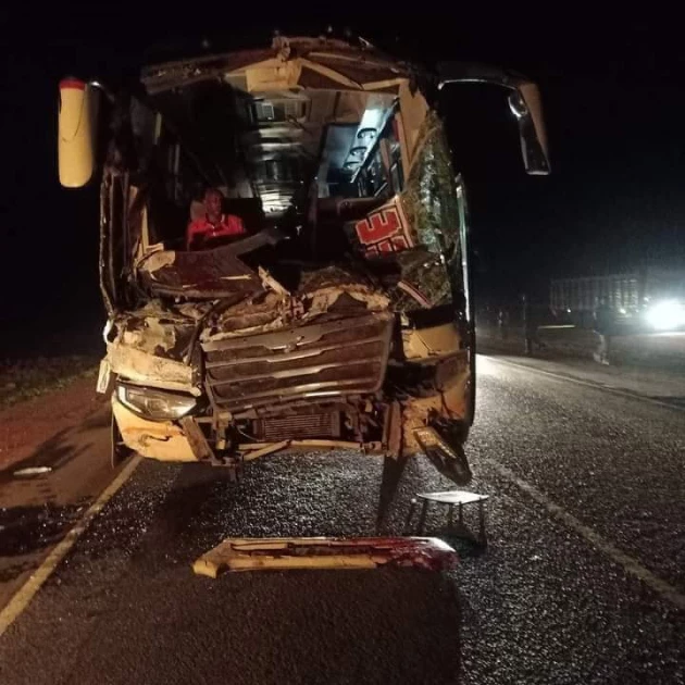 Scores injured, elephant killed in collision on Nairobi-Mombasa highway 