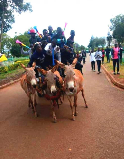 University student opts for donkey as transport during campaign for leadership role over high fuel costs