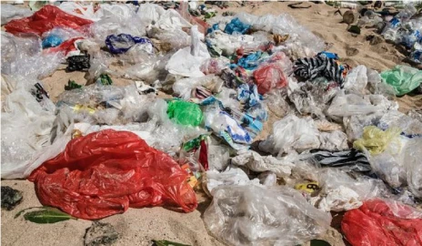 Plastic bags; a modern poison to human life 