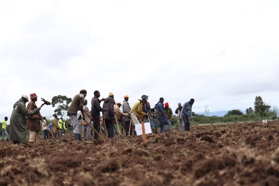 Kenya set to roll out largest Biofuel production targeting thousands of farmers in new farming scheme