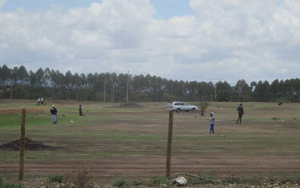 Thika road field, where lovers, worshippers and goats have learned to coexist