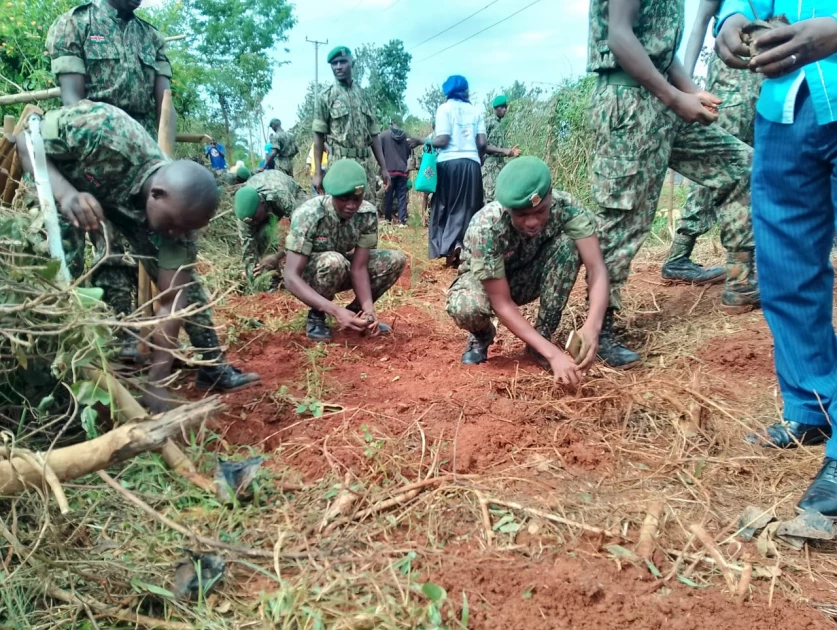 President Ruto sends entire Cabinet on a tree planting expedition