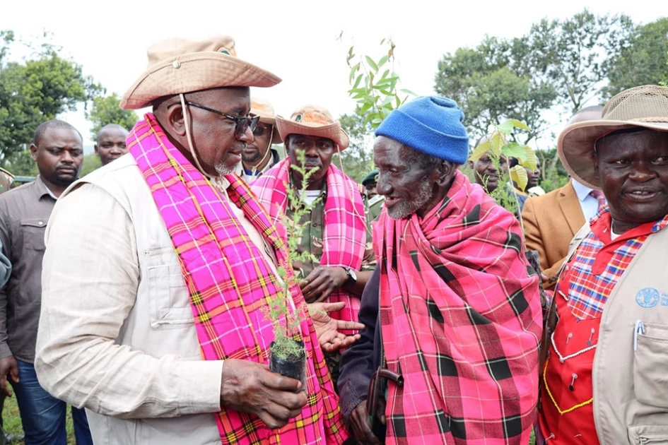  Agriculture CS Linturi leads planting of 10,000 trees in Samburu 