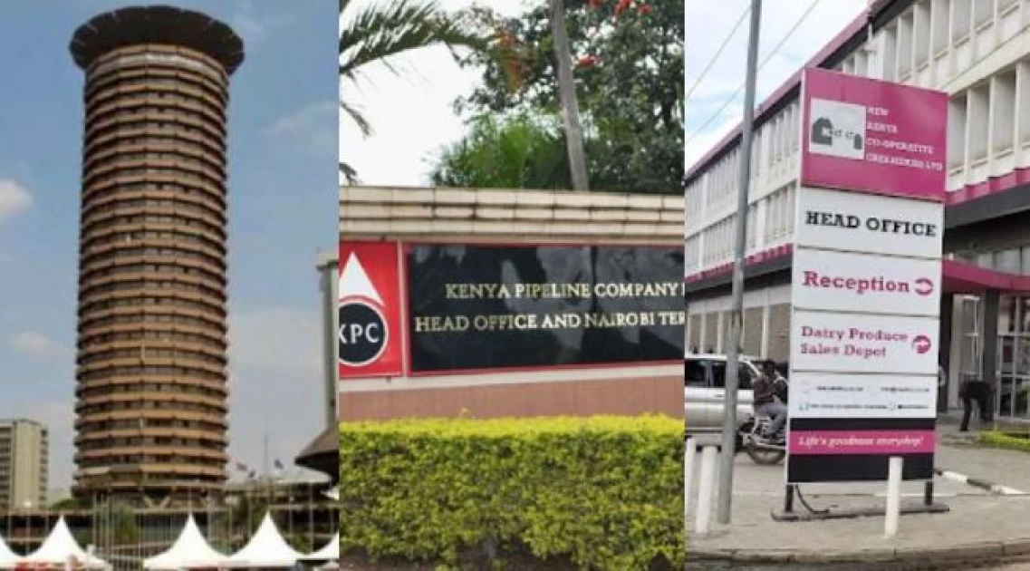 Four parastatals that have raised eyebrows after being listed for privatisation
