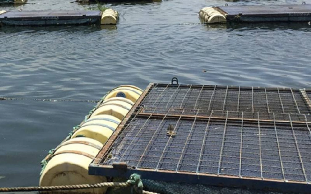 Lake Victoria: Abandoned fish cages slowly turning into floating
