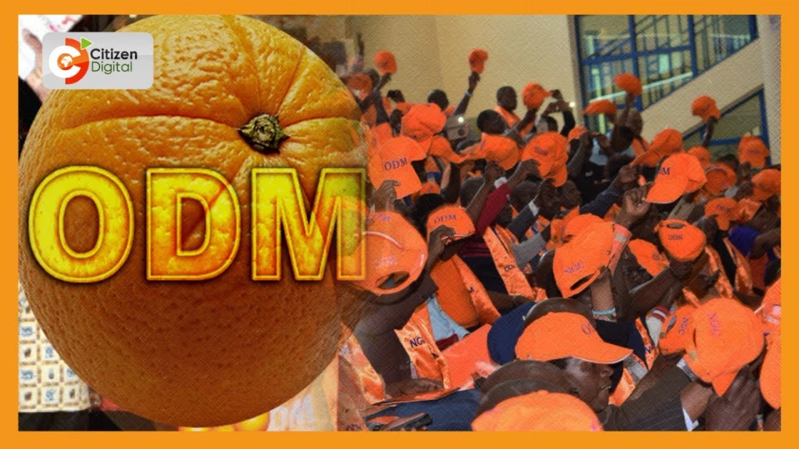 Rongo ODM leadership raised concern over rivals posing as ODM party agents