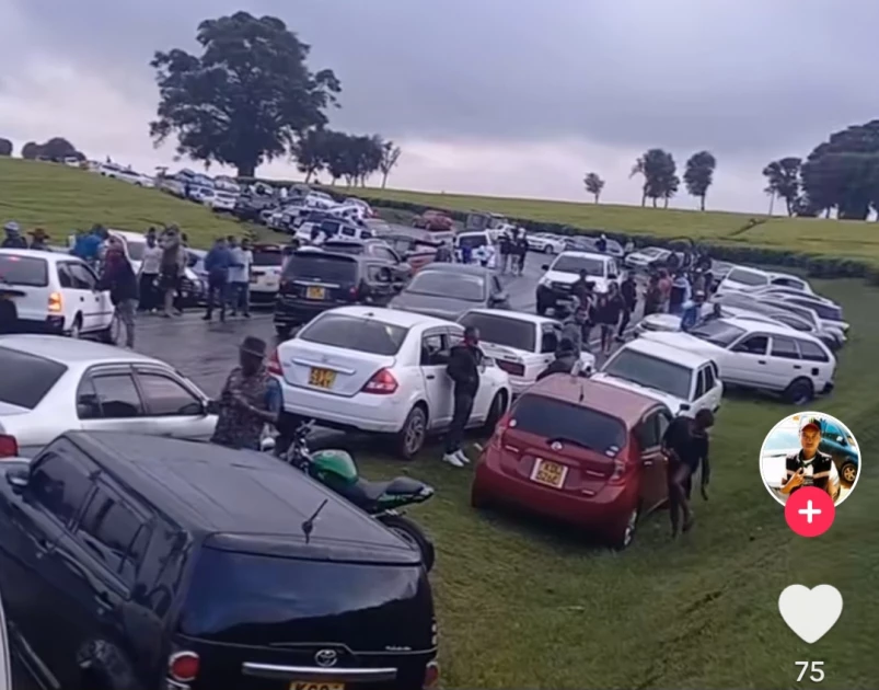 Park and Chill events make a comeback as Kenyans throng to Limuru farms for outdoor thrills