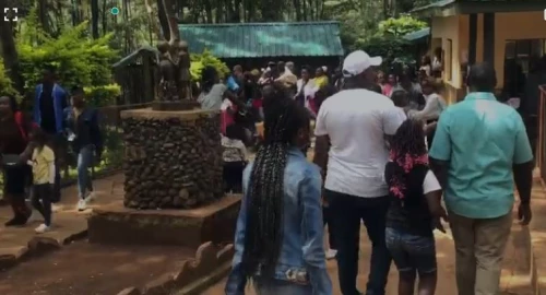 Kenyans stream into Nairobi National Park to celebrate Jamhuri Day