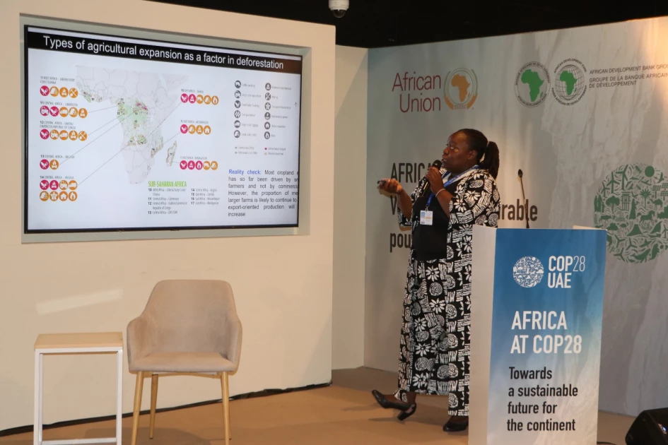 WWF-led initiative releases report on sustainable food systems in Africa amid climate crisis