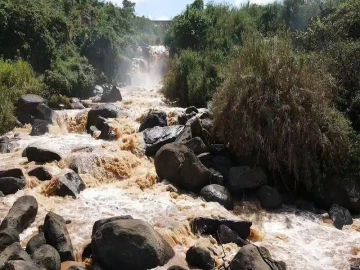 14-year-old boy killed by crocodile in River Yala