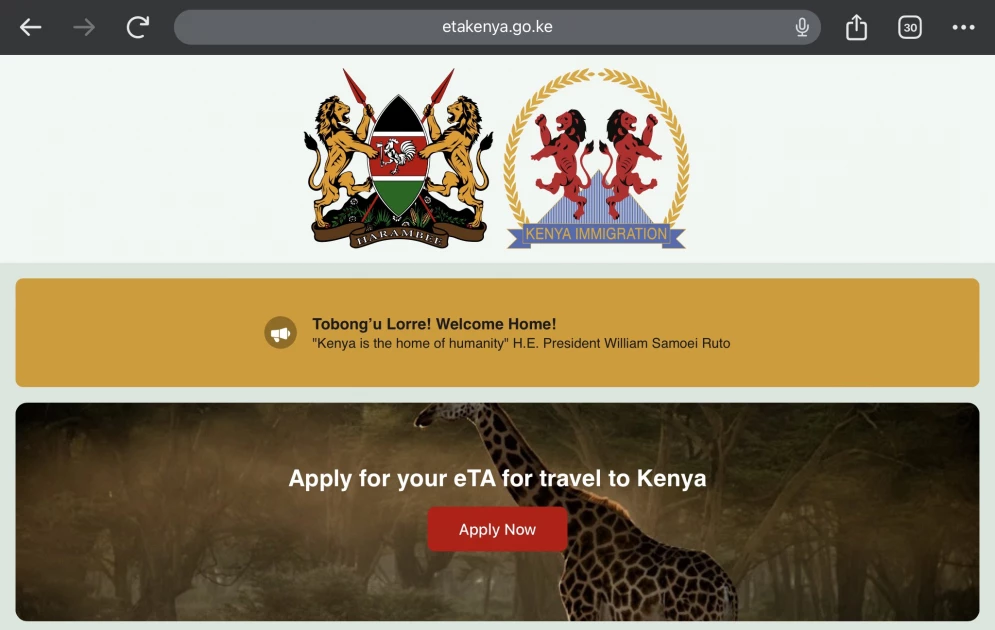 'Too hectic!' Kenya's 'visa-free' status questioned by numerous travelers after ETA introduction