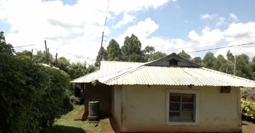 Kisii: Villagers protest destruction of farms, homesteads during erection of power transmission lines 
