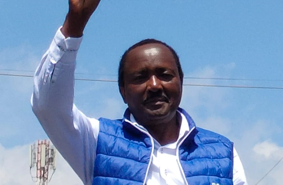 'I will lead Kenyans to boycott Ruto leadership,' Kalonzo decries high cost of living