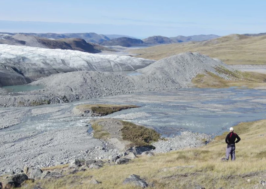 Greenland is getting greener. That could have huge consequences for the world