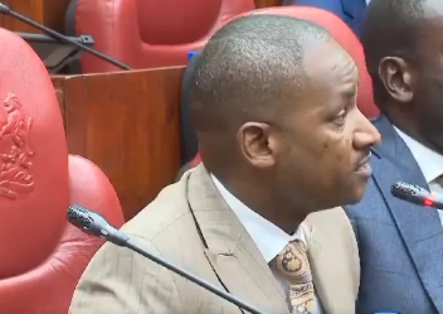 Babu Owino calls for the impeachment of CS Chirchir over Embakasi gas explosion 