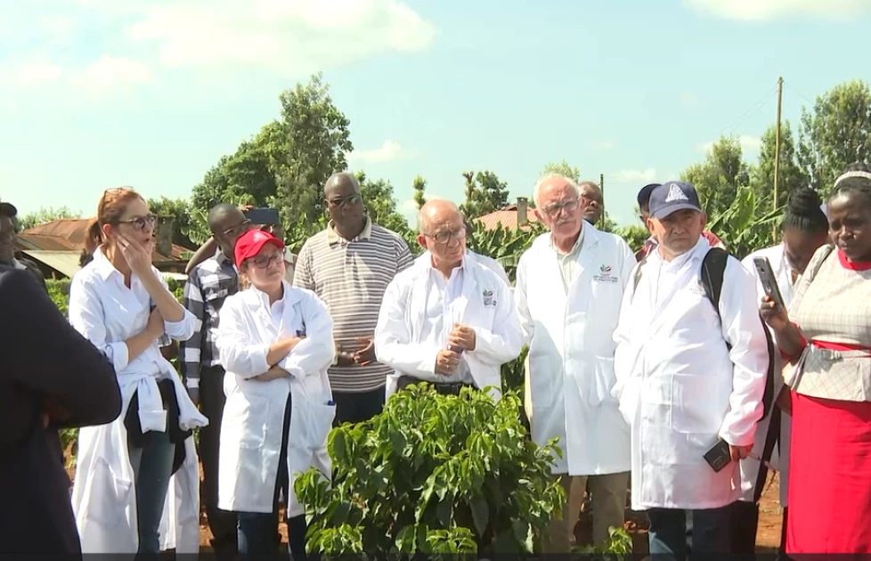 Colombian coffee farmers, researchers on 5-day visit to Kenyan farms