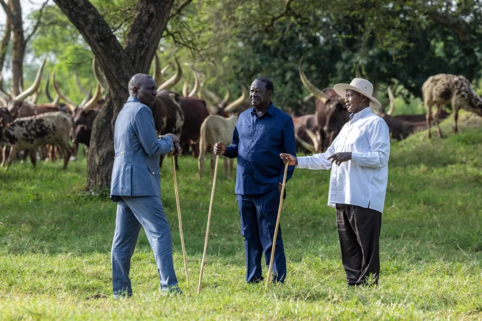 Raila retracts statement on meeting with Ruto, Museveni