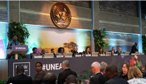 UNEA delegates agree on 15 resolutions for environment conservation