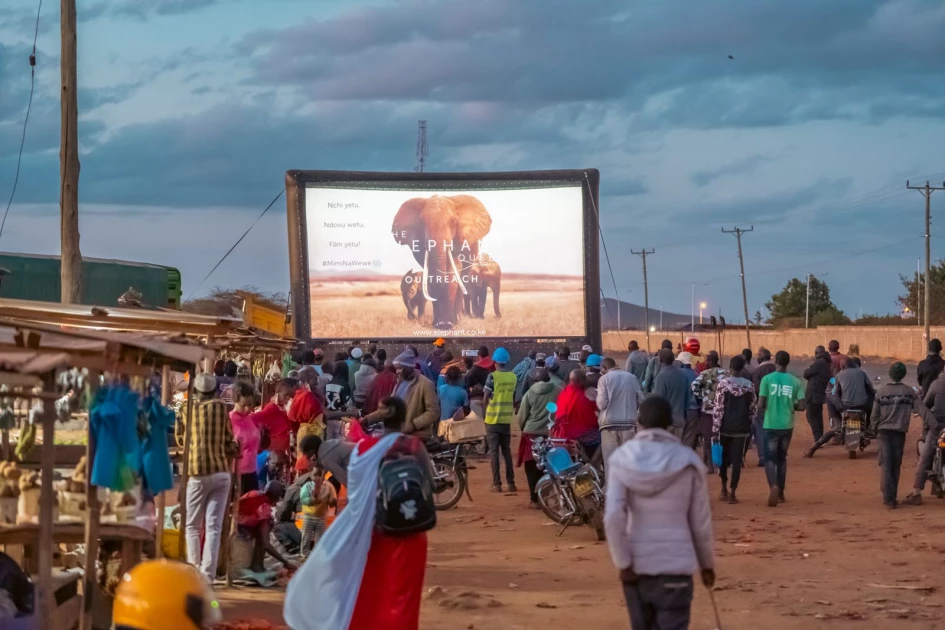 Nature films can transform attitudes towards elephants, study reveals