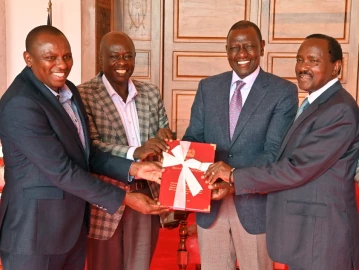 President Ruto urges MPs to support NADCO recommendations