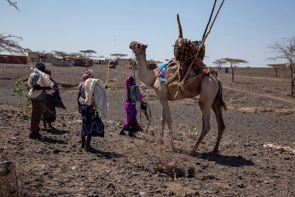 A Gabra wedding: How pastoralist community has upheld tradition for years