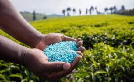 Farmers count losses as more fake fertiliser seized