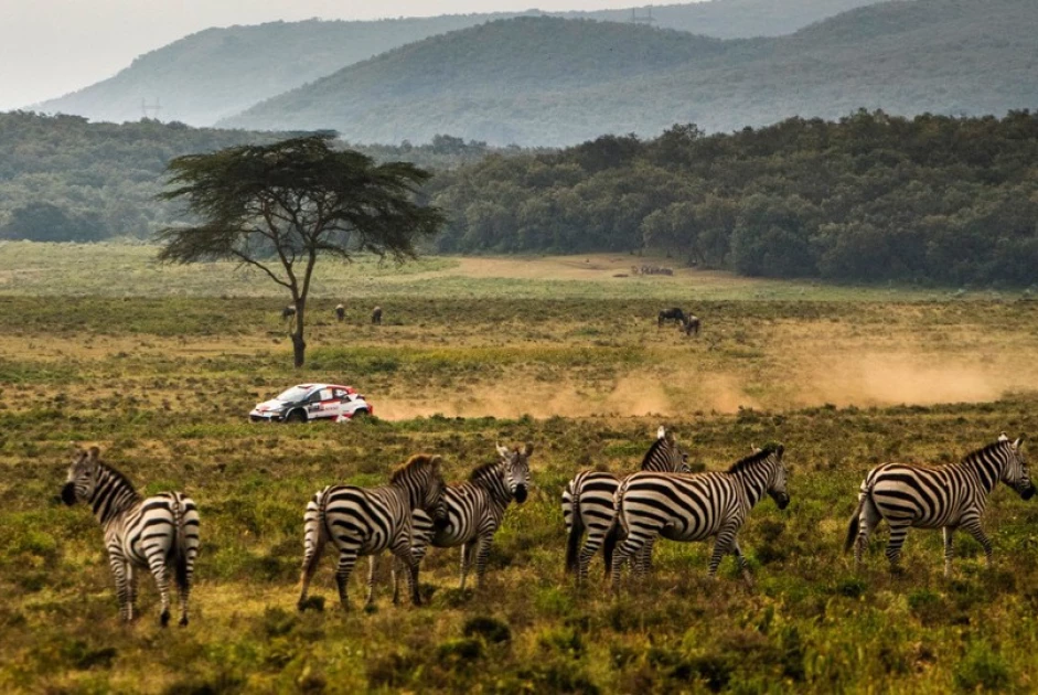 OPINION: BWIRE - Safari Rally offers opportunity to market Kenya - Vimarsana News