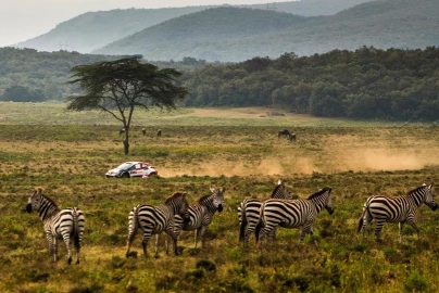 OPINION: BWIRE - Safari Rally offers opportunity to market Kenya 
