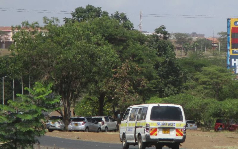 Nairobians trooping to Thika road mini-forest to escape roasting sun