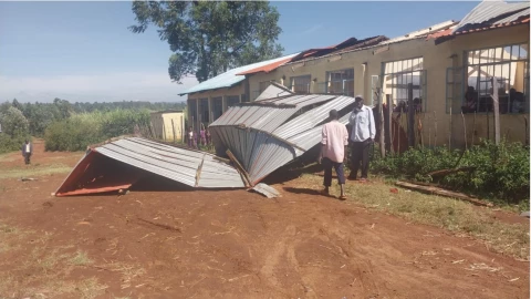 Kimilili: Over 300 pupils forced to learn under trees after wind destroys classrooms
