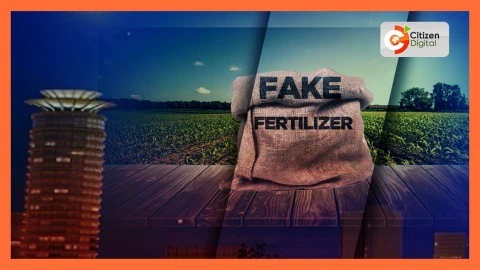 Fake fertiliser probe: DCI summons SBL manager as gov't unveils compensation plan for farmers