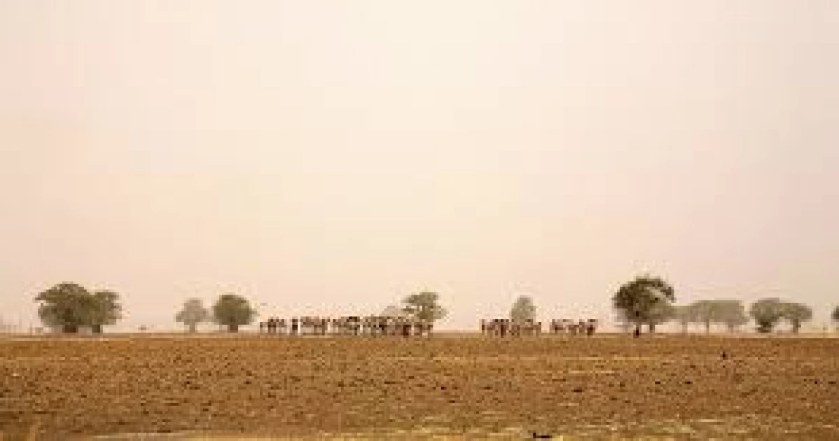 Herder and farmer clashes leave 23 dead in Chad - Vimarsana News
