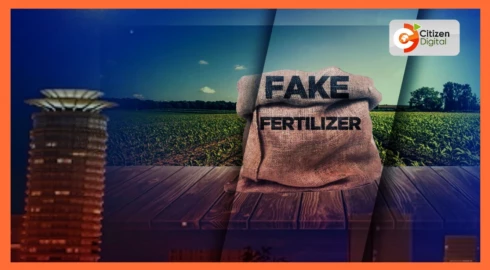 Senate committee initiates probe into fake fertiliser syndicate